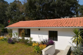 L'annexe des Cigales, à l'ombre des chênes lièges
